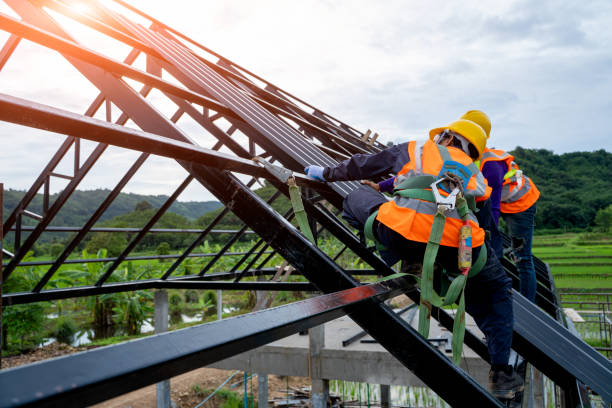 Best Roof Inspection Near Me  in Flat Rock, MI