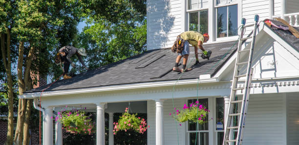 Best Emergency Roof Repair  in Flat Rock, MI