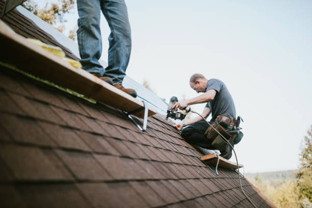 Best Roof Leak Repair  in Flat Rock, MI