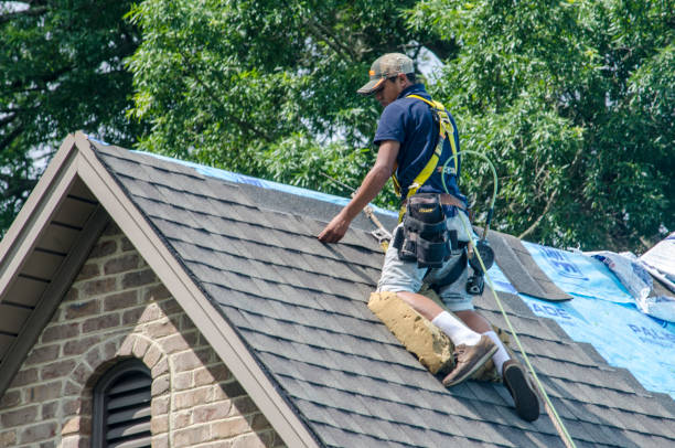 Best Local Roofing Companies  in Flat Rock, MI