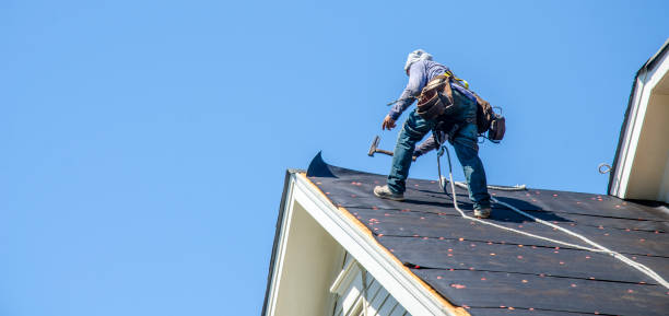 Best Commercial Roofing Services  in Flat Rock, MI
